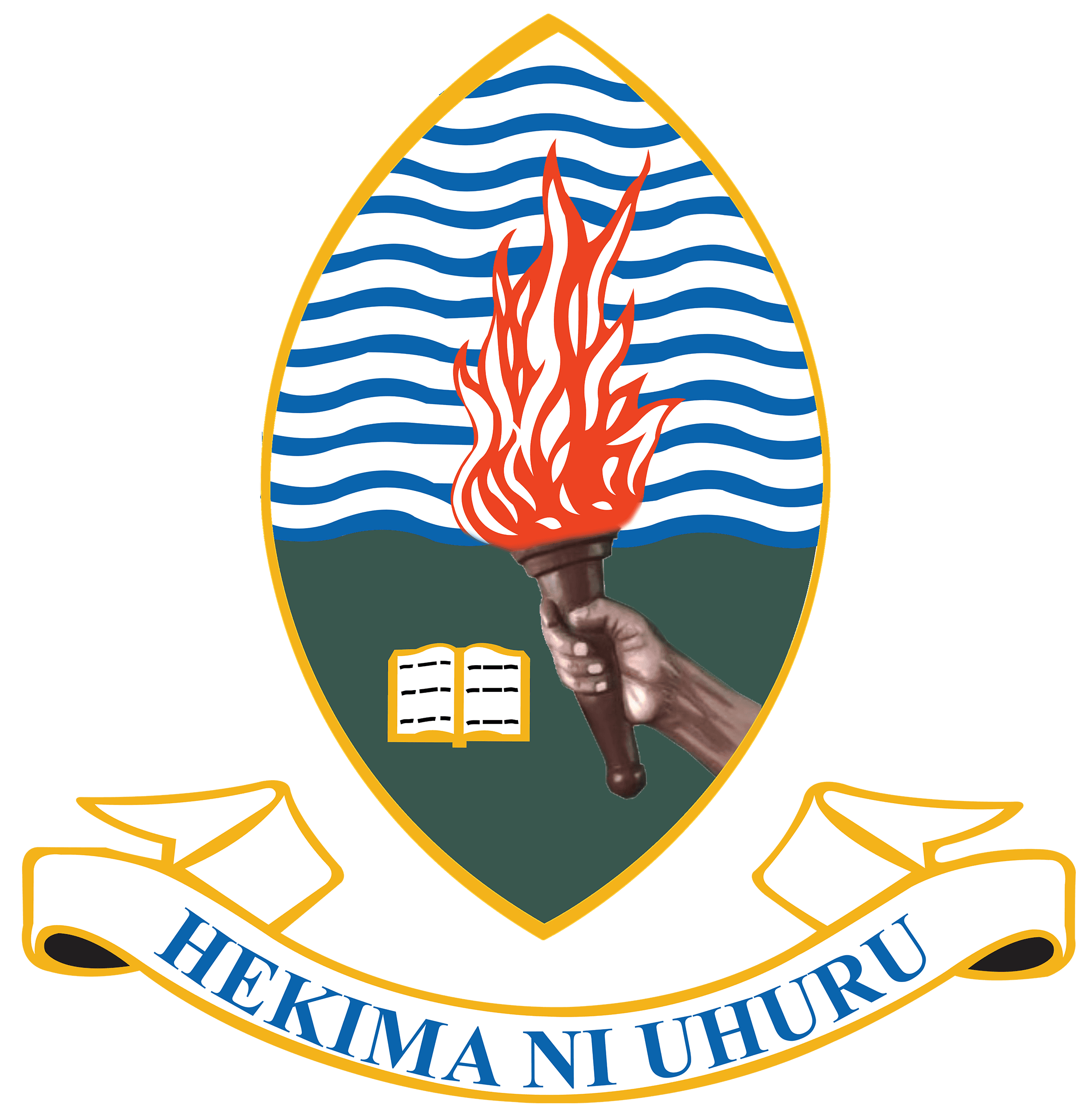 University of Dar es Salaam